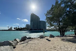 Haulover Park Bayside Picnic Area image