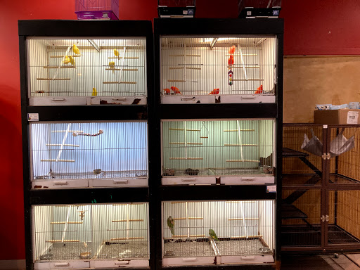 Pet Store «All Pets Club», reviews and photos, 1167 N Colony Rd, Wallingford, CT 06492, USA