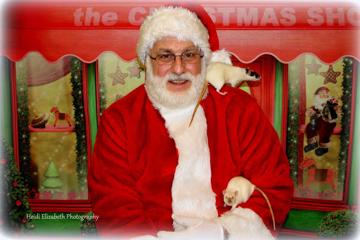 Pet Supply Store «Mellisa’s PET DEPOT», reviews and photos, 83 Faunce Corner Mall Rd, Dartmouth, MA 02747, USA