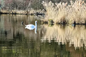 Stausee image