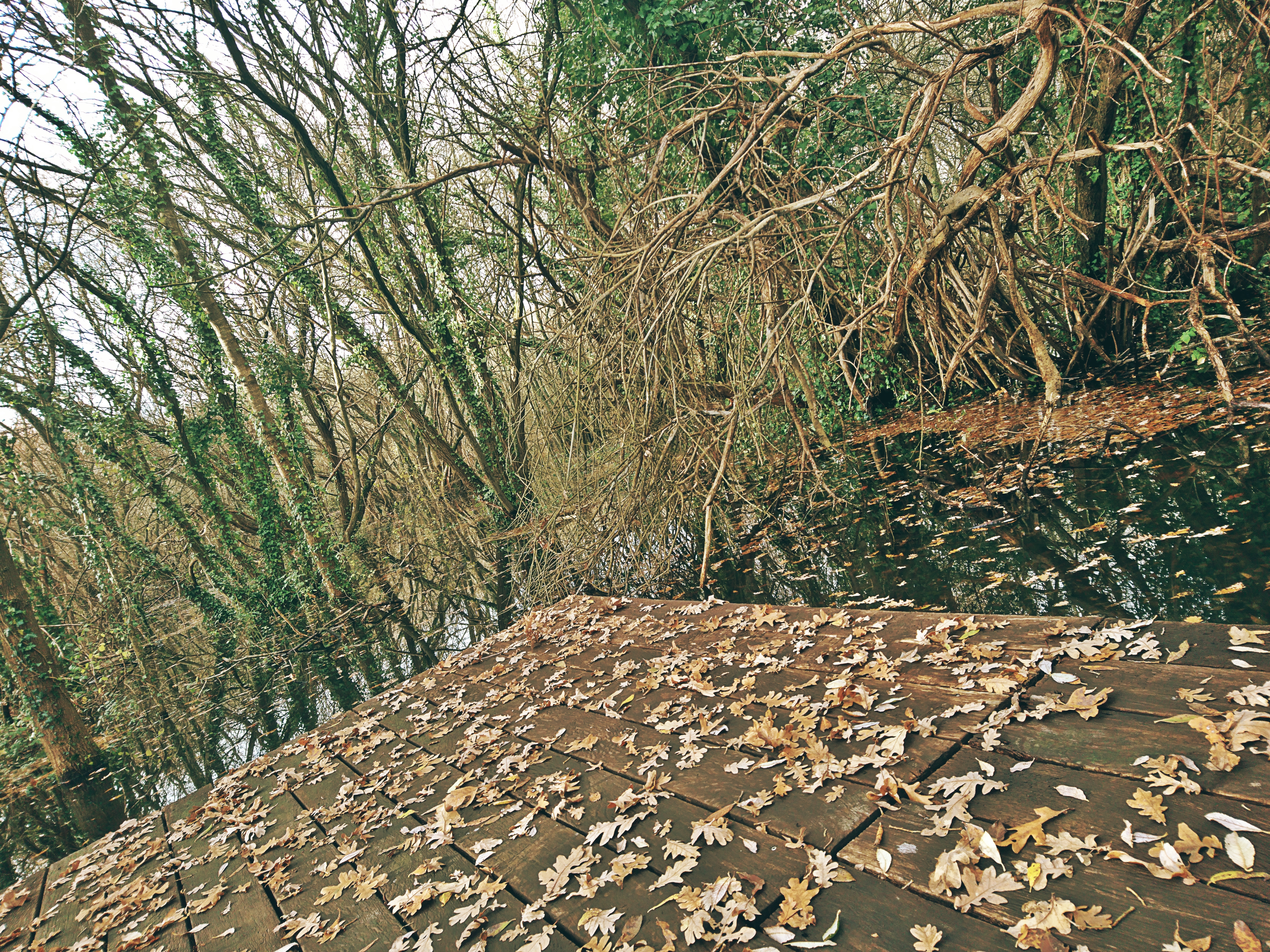 Photo n° 1 de l'avis de Bu. fait le 14/12/2019 à 17:23