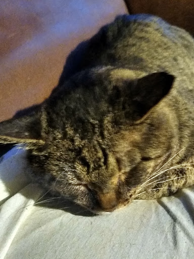 Pet Supply Store «Healthy Pet Products», reviews and photos, 3043 Washington Rd, McMurray, PA 15317, USA