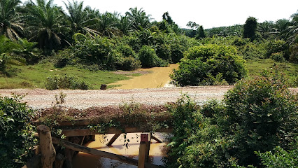 Ladang Sawit Chini 5