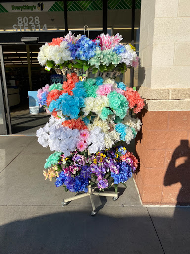 Dollar Store «Dollar Tree», reviews and photos, 3520 Denton Hwy, Haltom City, TX 76117, USA