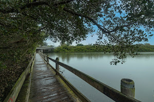 Lillian Road Reserve, Riverwood