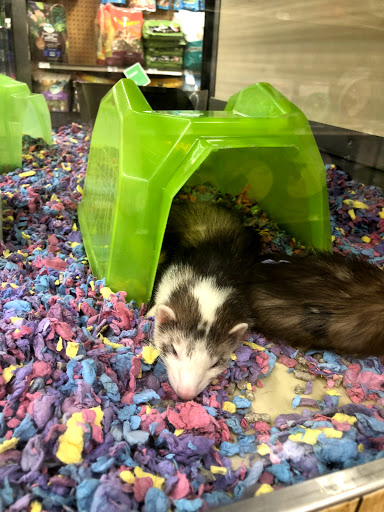 Pet Supply Store «Petco Animal Supplies», reviews and photos, 10055 Wellington Rd, Manassas, VA 20110, USA