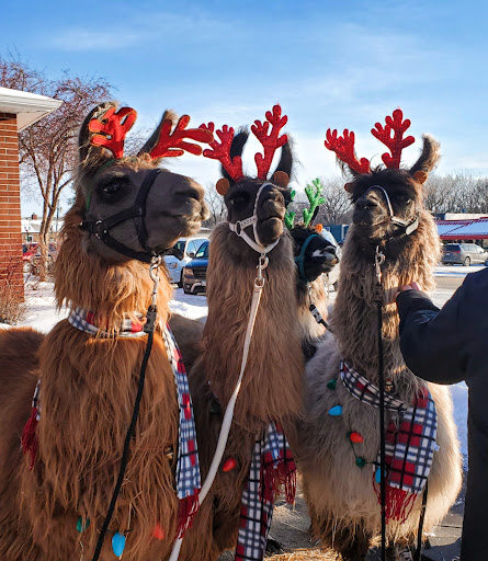 Auto Insurance Agency «Colin Charlson - State Farm Insurance Agent», reviews and photos