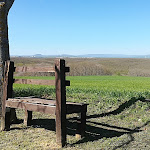 Photo n°3 de l'avis de Massimiliano.r fait le 15/04/2018 à 13:24 sur le  Agriturismo Carrera della Regina à Contrada Panetteria, Banzi
