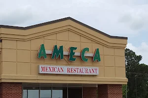 Ameca image