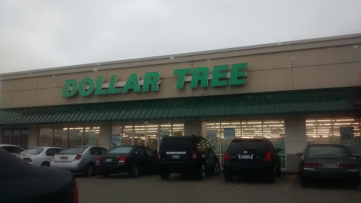 Dollar Store «Dollar Tree», reviews and photos, 3005 Wiley Blvd SW #120, Cedar Rapids, IA 52404, USA
