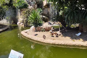 Jardin Animalier de Monaco image