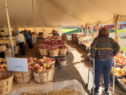 Phil's U-Pick Apple Orchard