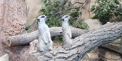 Assiniboine Park Zoo