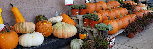 Supermarket «Roche Bros. Acton», reviews and photos, 387 Massachusetts Ave, Acton, MA 01720, USA