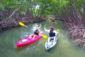 Paddle Marco Island - Kayak Rentals & Tours image