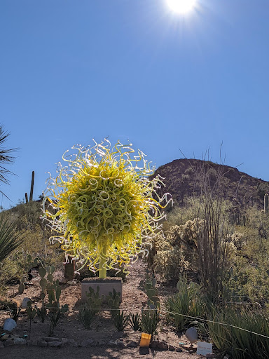 Park «Papago Park», reviews and photos, 625 N Galvin Pkwy, Phoenix, AZ 85008, USA