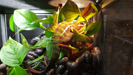 Convention Center «Washington County Fair Complex», reviews and photos, 873 NE 34th Ave, Hillsboro, OR 97124, USA