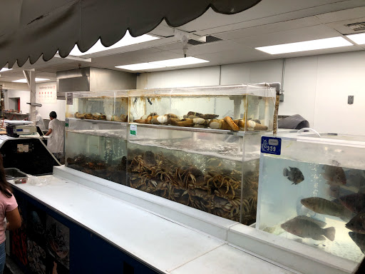 Asian Grocery Store «Lee Lee International Supermarkets», reviews and photos, 2025 N Dobson Rd, Chandler, AZ 85224, USA