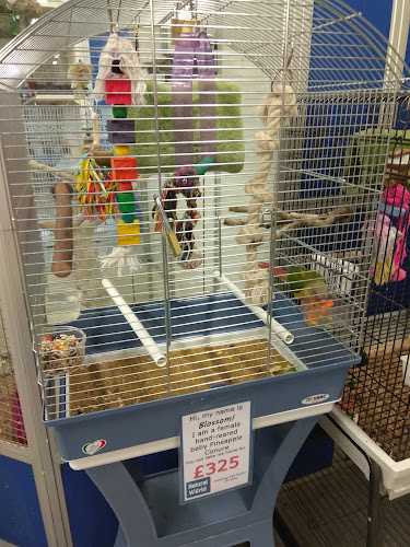 Natural world pet store - Leicester