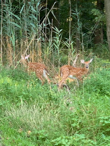 Golf Course «Gunpowder Golf Course», reviews and photos, 14300 Old Gunpowder Rd, Laurel, MD 20707, USA