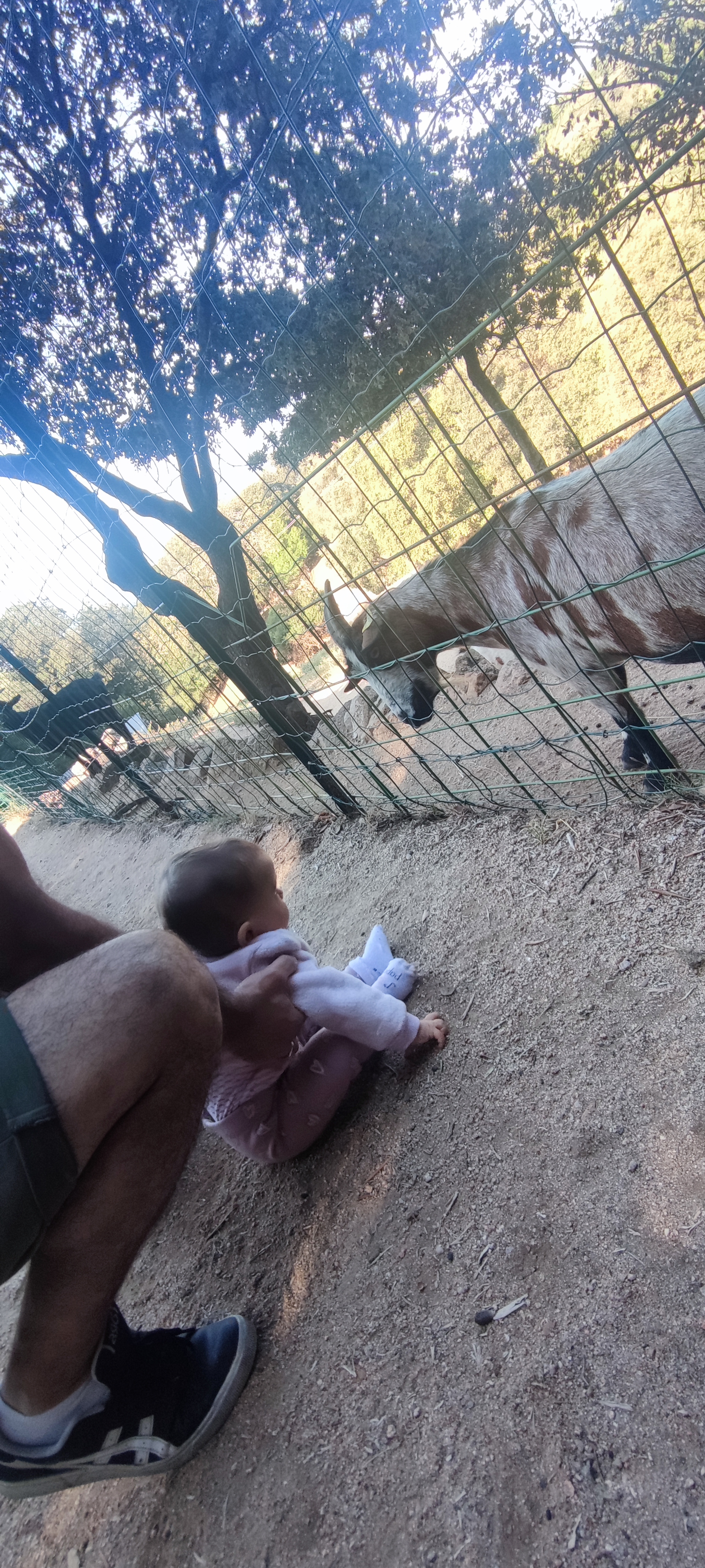 Photo n° 1 de l'avis de Hélorie.h fait le 07/10/2023 à 18:39
