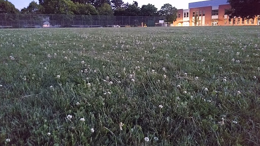 Park «Clinton City Park», reviews and photos, 5576 SE Division St, Portland, OR 97206, USA