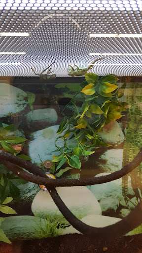 Pet Supply Store «Petco Animal Supplies», reviews and photos, 877 Central Ave, Dover, NH 03820, USA