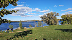 Foto von Strandbad Markranstadt wilde gegend
