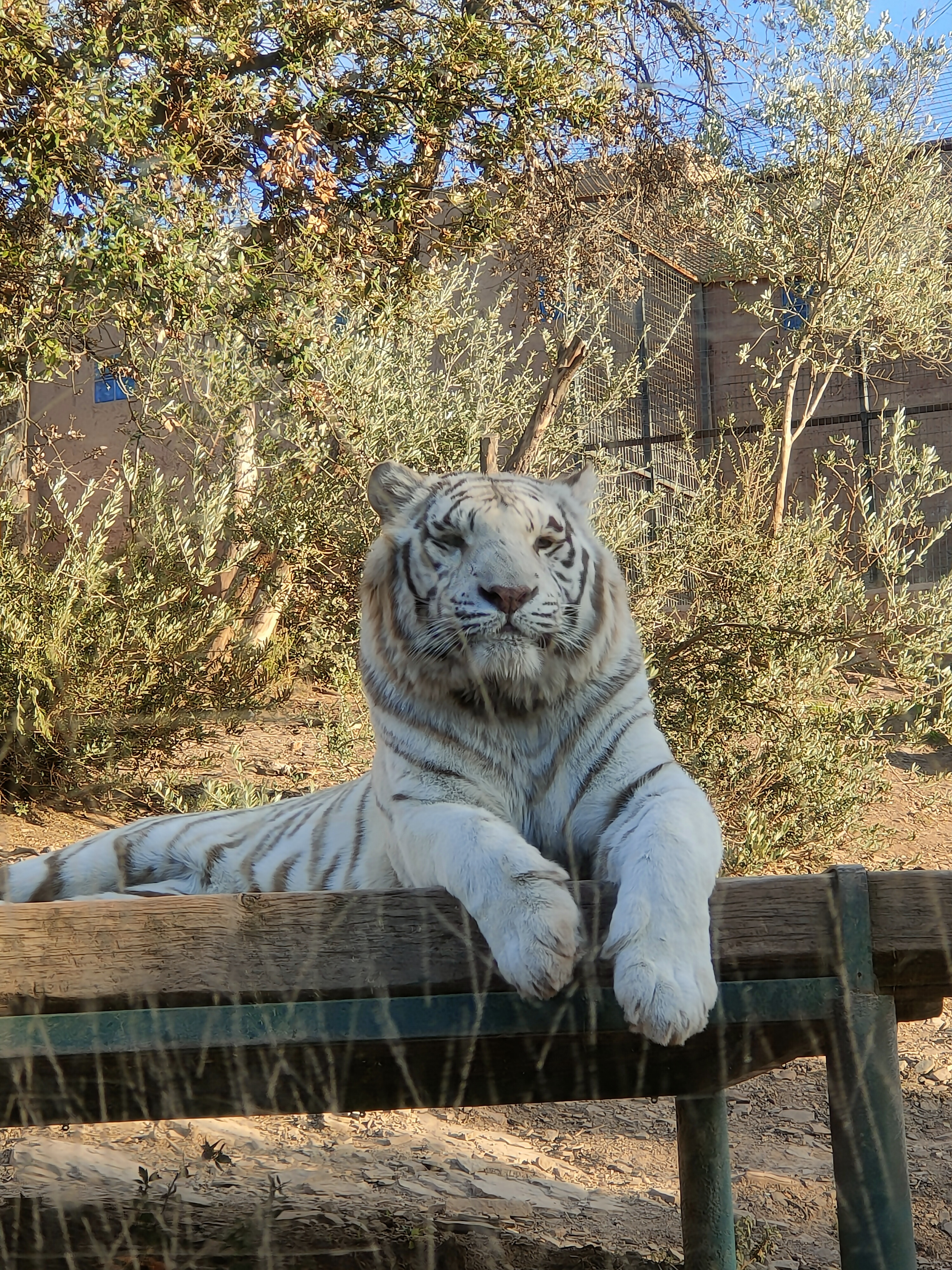 Photo n° 1 de l'avis de Sthen.C fait le 05/12/2021 à 16:42