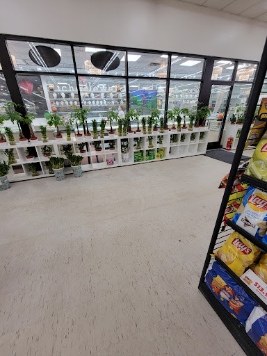 Shopping Mall «Uni-Dale Mall», reviews and photos, 608 University Ave W, St Paul, MN 55103, USA