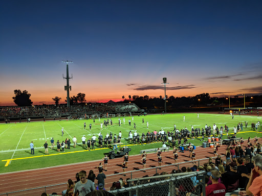 Lions Stadium