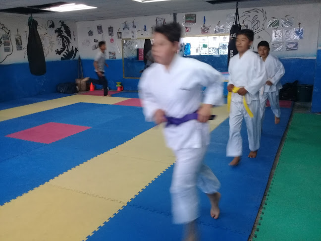 Comentarios y opiniones de Escuela De Iniciacion De Karate Do Mejía