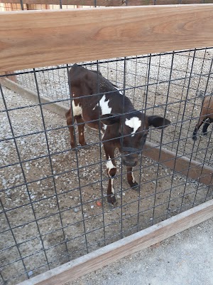 Wild Acres Ranch - photo 99
