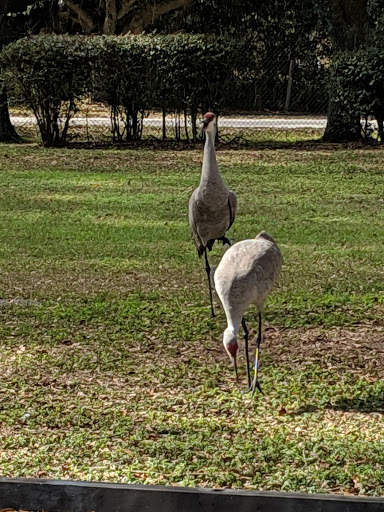 Orange Trailhead