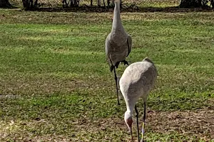 Orange Trailhead image