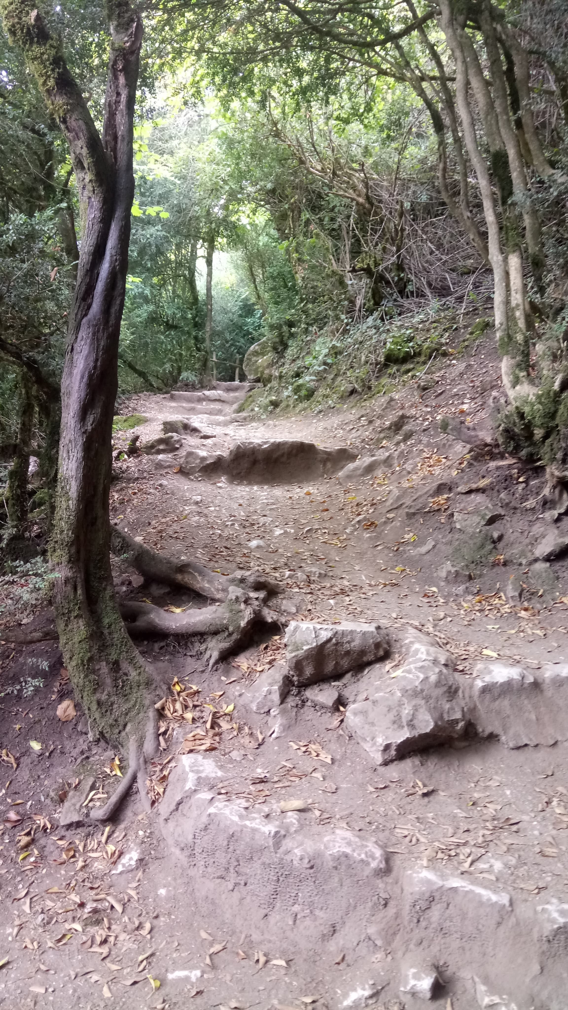 Photo n° 1 de l'avis de yasmine.a fait le 11/09/2018 à 11:10