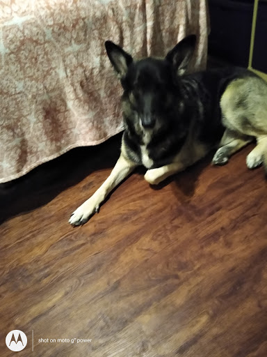 Clothing Store «Ross Dress for Less», reviews and photos, 2745 E Bidwell St, Folsom, CA 95630, USA