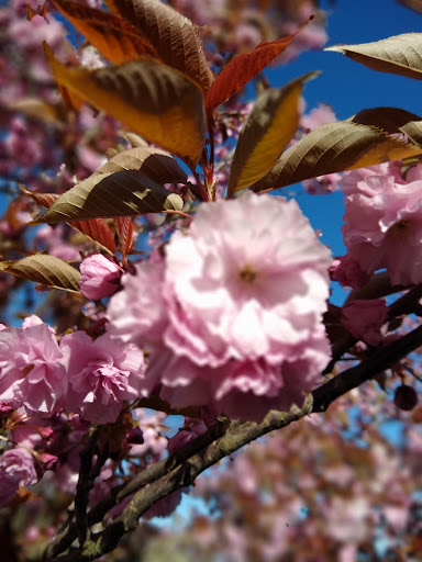 Vineyard «Cristom Vineyards», reviews and photos, 6905 Spring Valley Rd NW, Salem, OR 97304, USA