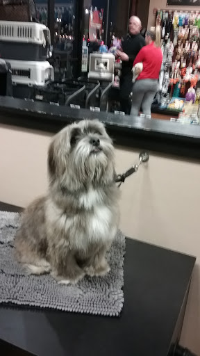 Pet Supply Store «Pet Valu», reviews and photos, 1611 Boston Post Rd, Milford, CT 06460, USA