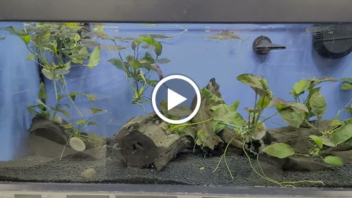 Pet Supply Store «Petco Animal Supplies», reviews and photos, 179 N Milwaukee St, Boise, ID 83704, USA