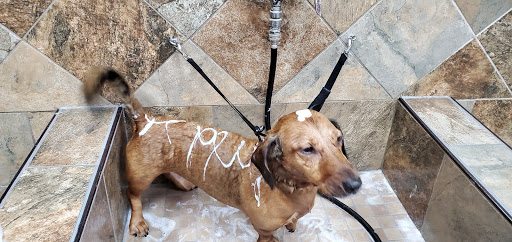 Pet Store «Pet Valu», reviews and photos, 2360 Lakewood Rd, Toms River, NJ 08755, USA