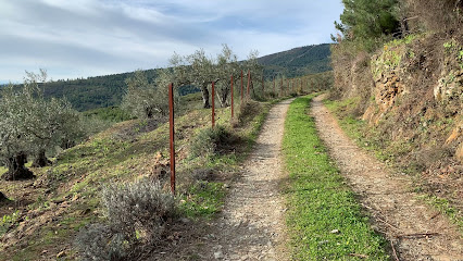 Zona de senderismo – Camino de Tragulla – Abadía