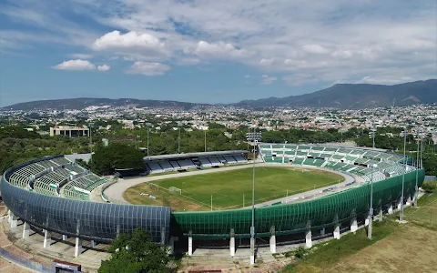 Estadio Víctor Manuel Reyna image