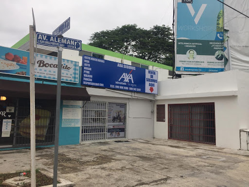 Axa Seguros Avenida Aleman