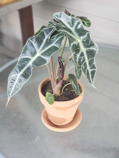 Hardware Store «JB Hostetter & Sons», reviews and photos, 1225 W Main St, Mount Joy, PA 17552, USA