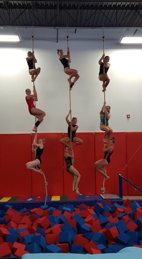 Gym «Will-Moor Gymnastics», reviews and photos, 2036 Briggs Rd, Mt Laurel, NJ 08054, USA