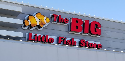 The Big Little Fish Store