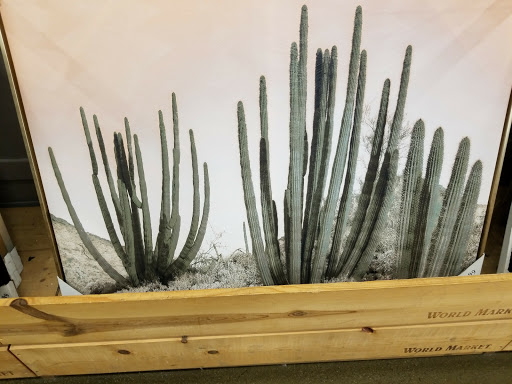 Furniture Store «Cost Plus World Market», reviews and photos, 885 S Cotton Ln, Goodyear, AZ 85338, USA
