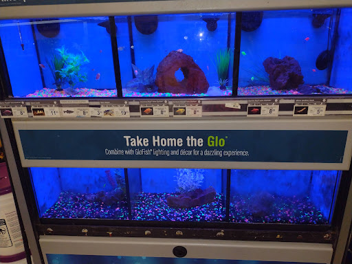 Pet Supply Store «Petco Animal Supplies», reviews and photos, 10315 E Shelby Dr, Collierville, TN 38017, USA