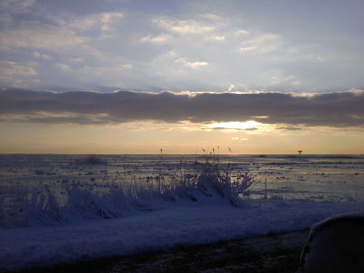 Nature Preserve «Clamming Creek Preserve», reviews and photos, Bayview Ave, Bayville, NJ 08721, USA